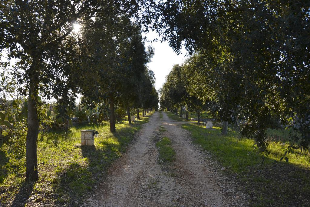 B&B Masseria Del Marchese 카스텔라나그로테 객실 사진